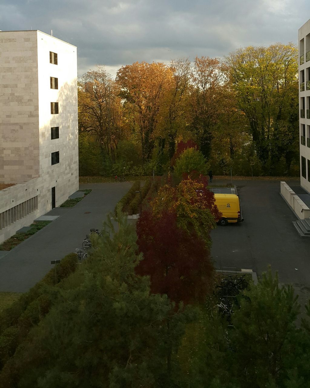 TREES BY PLANTS AGAINST BUILDING