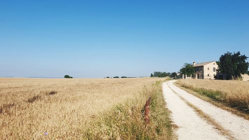 Scenic view of field against clear blue sky