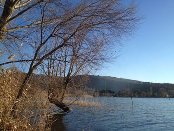 Scenic view of river against sky