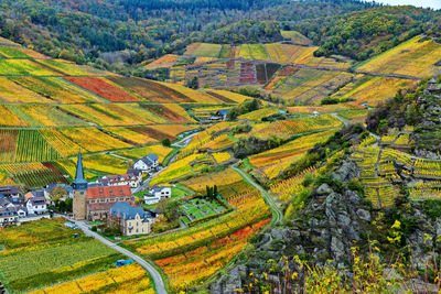 High angle view of agricultural field