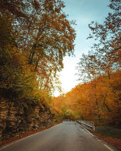 Road amidst trees against sky during autumn