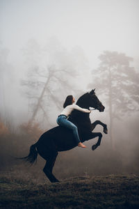 Woman riding horse on field