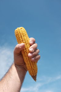 Cropped image of hand holding food