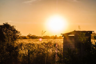 Scenic view of agricultural field against sky during sunset