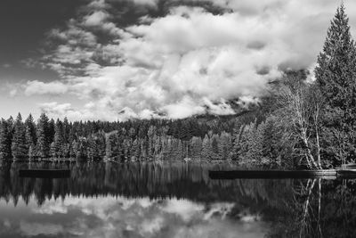 Scenic view of lake in forest against sky