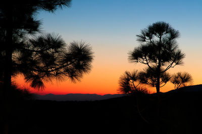 Silhouette trees against sky during sunset