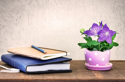 Close-up of purple flower in vase on table