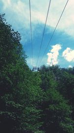 Low angle view of trees against sky