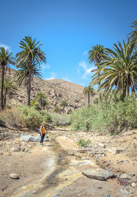 Mid distance view of female hiker standing at desert against blue sky