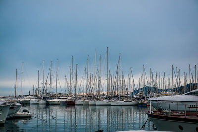 Sailboats moored in harbor