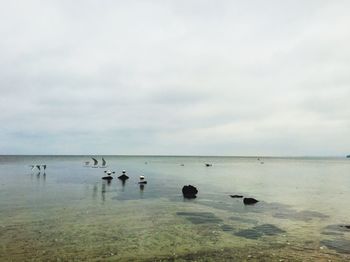 Scenic view of sea against cloudy sky