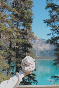 Person holding ice cream cone against mountains