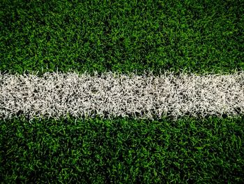 High angle view of soccer field