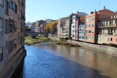 Canal amidst houses against clear sky