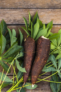 Cassava root and green leaves of the plant on a wooden table in brazil