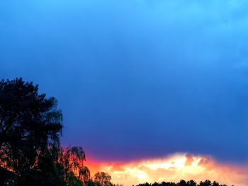 Low angle view of silhouette trees against sky at sunset