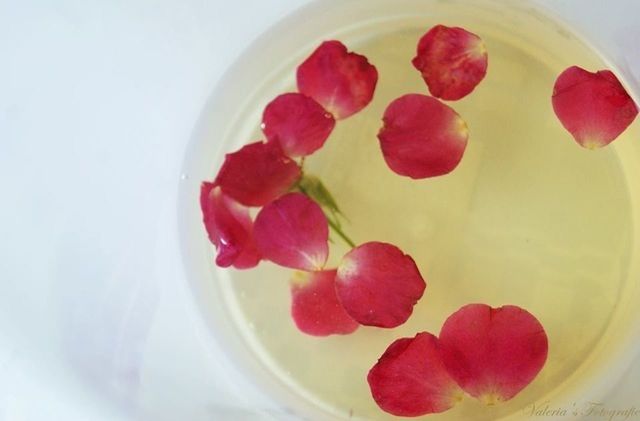 flower, indoors, freshness, red, petal, pink color, white background, fragility, close-up, still life, flower head, studio shot, table, beauty in nature, no people, rose - flower, high angle view, white color, directly above, nature