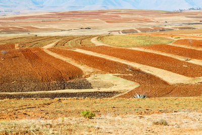 High angle view of field