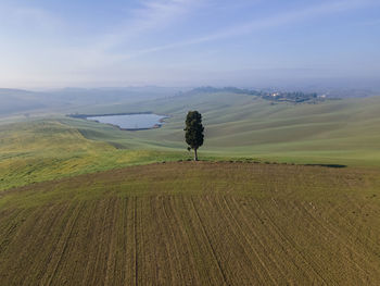 Scenic view of agricultural field against sky