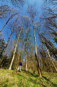 Man standing amidst trees in forest