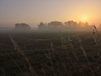 Scenic view of field against sky during sunset