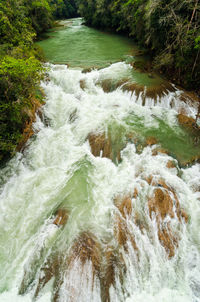 Scenic view of waterfall in forest