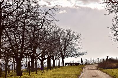 Road amidst bare trees against sky