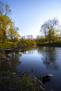 Scenic view of lake by trees against clear sky