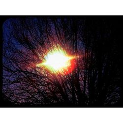 Low angle view of bare trees against sky