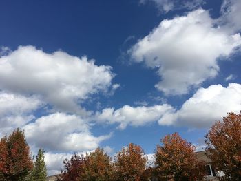 Low angle view of trees against sky