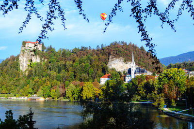 Plants by lake and buildings against sky