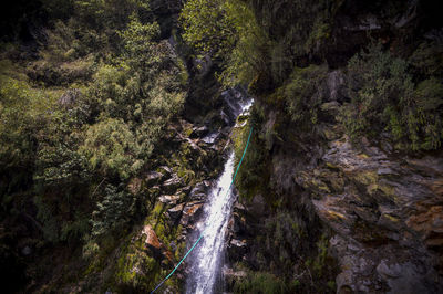 Scenic view of waterfall in forest