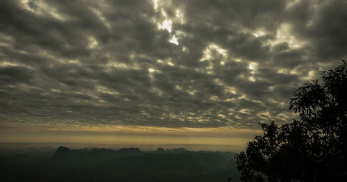 Low angle view of silhouette trees against sky at sunset