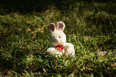 View of stuffed toy in field