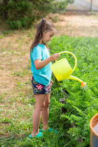 Little girl in a green t-shirt, watering a green bed of yellow watering can, in the garden