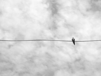 Low angle view of bird perching on cable against sky