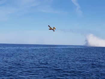 Bird flying over sea against sky