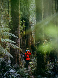 Rear view of man amidst trees in forest