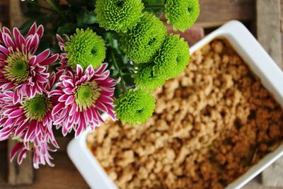 Close-up of potted plant on table with crumble