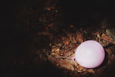 High angle view of ball balls at night