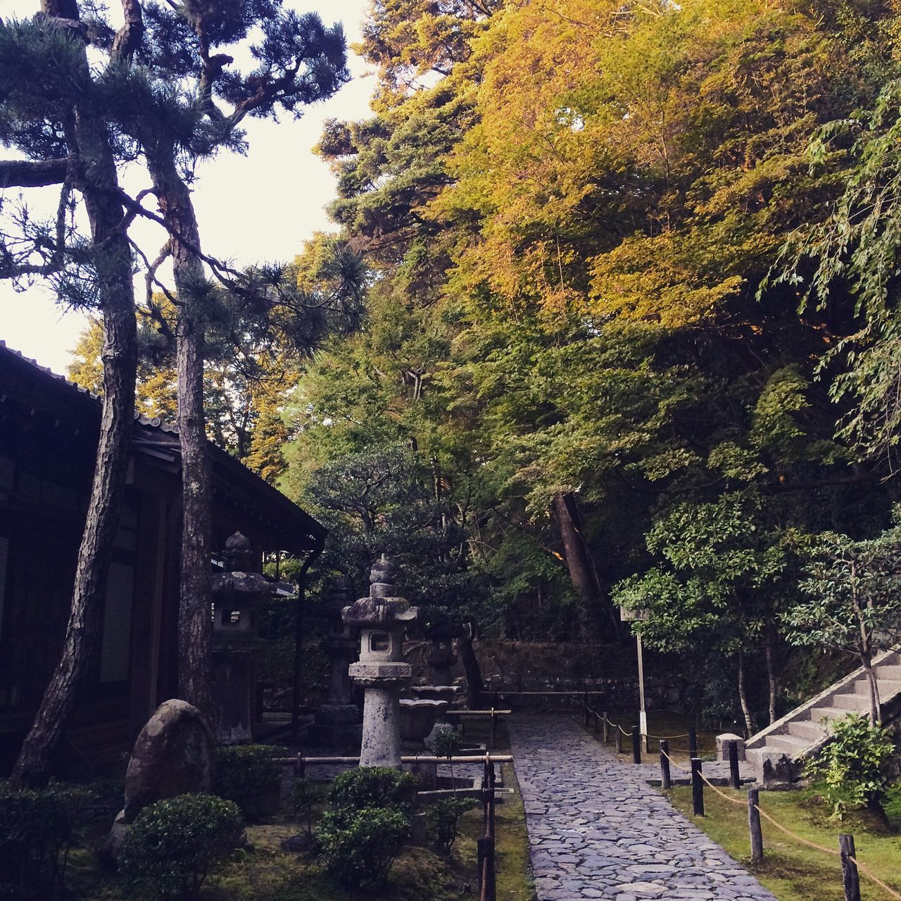 | Japanese garden