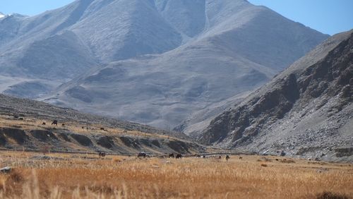 Scenic view of desert against sky