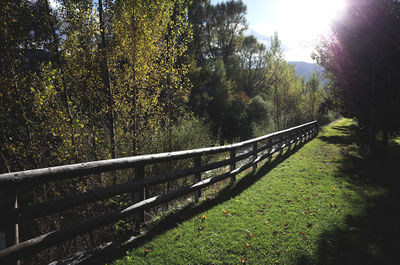 Railroad track amidst trees on field against sky