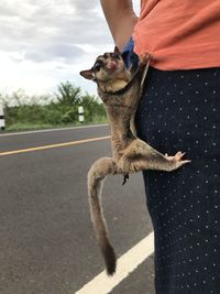 Man with dog on road