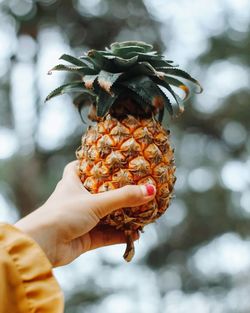 Cropped hand holding pineapple