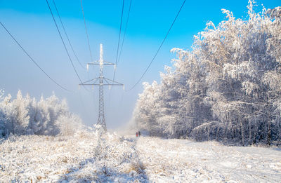 Trees on snow covered field against sky