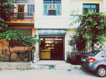 Tree by residential building in city