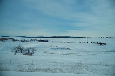 Scenic view of field against sky during winter