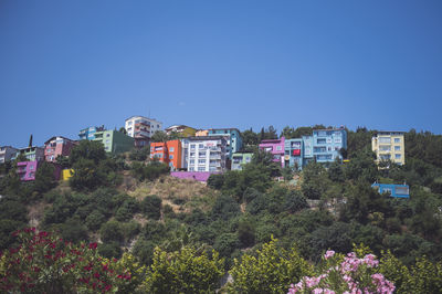 Trees and buildings against blue sky