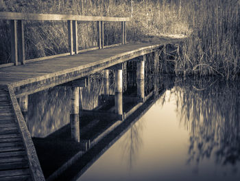 Reflection of trees in water